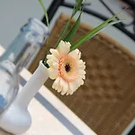 Отель & Cafe Strandeck 2*