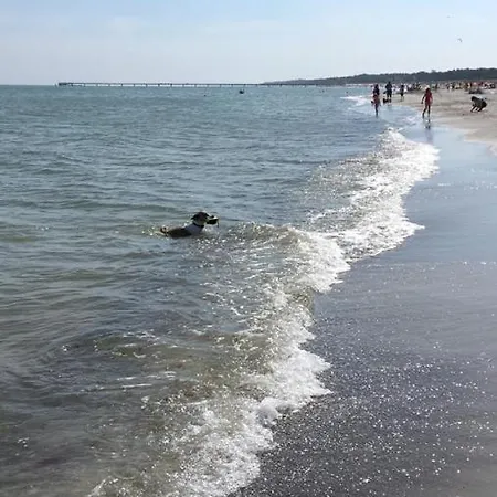 & Cafe Strandeck 2* Prerow